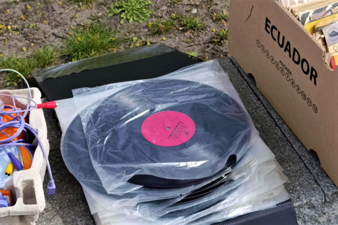 Pchli targ na Pogodnie