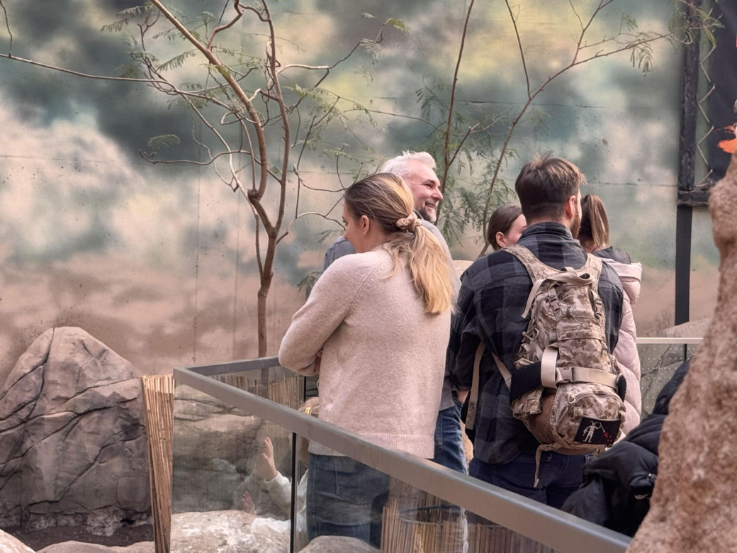 Czy warto jechać do ZOO Wrocław zimą?