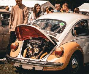 Tak było na Zalewiadzie 2025