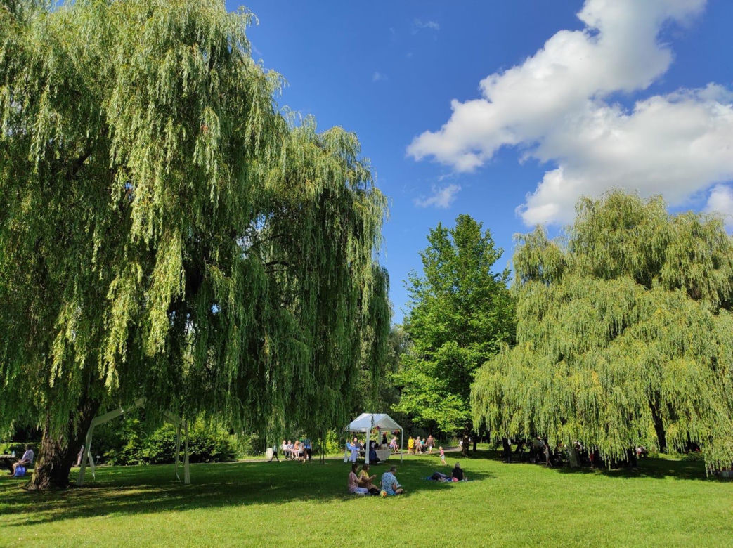 Miejski Ogród Botaniczny w Zabrzu