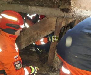 Dach stodoły runął pod naporem śniegu. W środku były zwierzęta