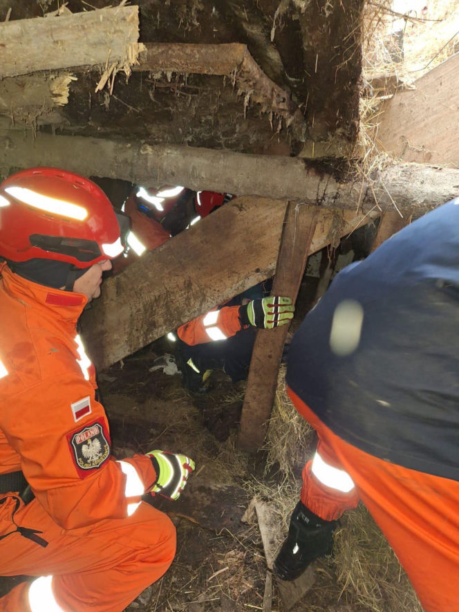 Dach stodoły runął pod naporem śniegu. W środku były zwierzęta