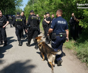 Policyjna obława w Siemianowicach Śląskich