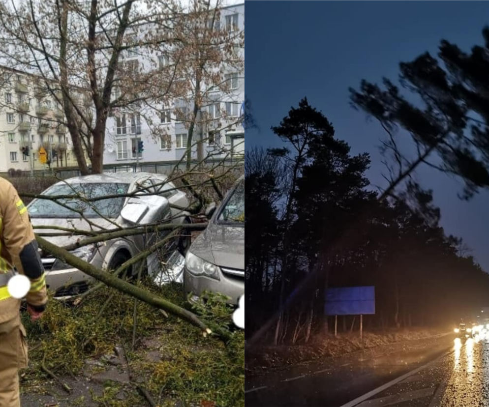 Zerwane dachy, drzewa na samochodach i brak prądu. Fatalny bilans wichury w Toruniu i okolicach