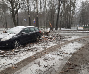 Potężna wichura przeszła przez Bydgoszcz [ZDJĘCIA]