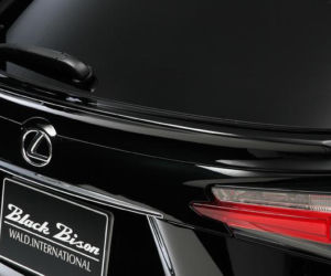 Lexus NX by Wald International
