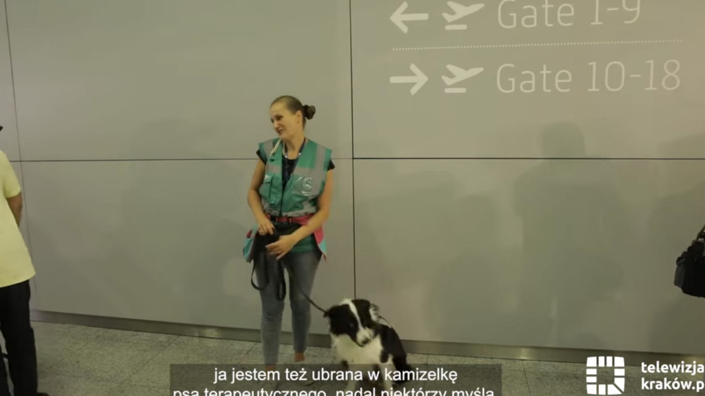 Jedyne takie psy w Europie. Czworonogi z lotniska w Krakowie-Balicach pomagają pasażerom