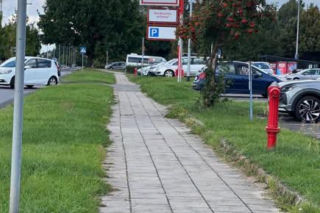 Chodniki na Zamenhofa i oświetlenie pasów na Rejtana. Niebawem ruszą prace