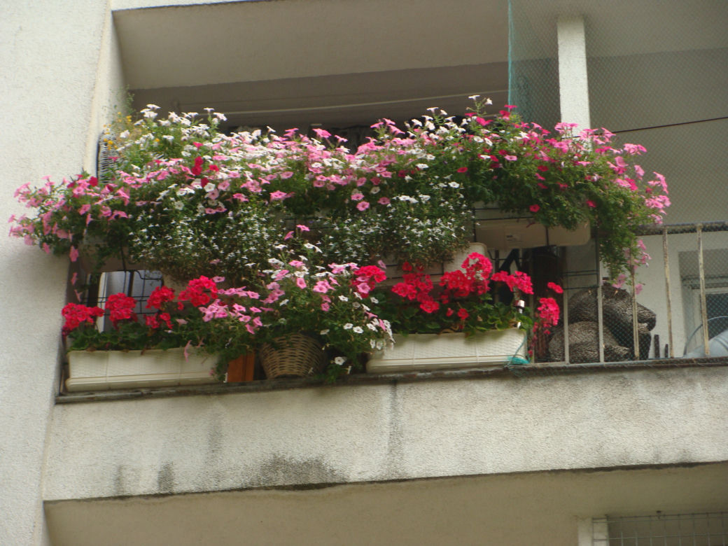 Najpiękniejsze balkony w Starachowicach