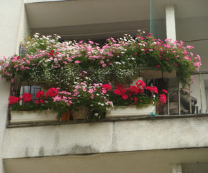 Najpiękniejsze balkony w Starachowicach