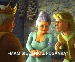 Korona królów - memy