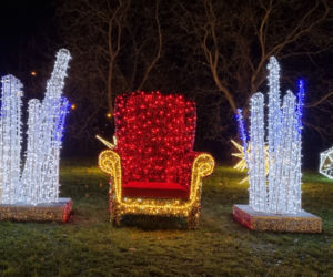 Ogród Botaniczny po zmroku zamienia się w magiczny ogród [GALERIA]
