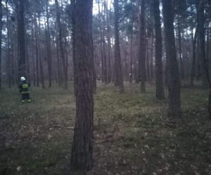 ZWŁOKI starszego mężczyzny znalezione w lesie! Był poszukiwany przez rodzinę