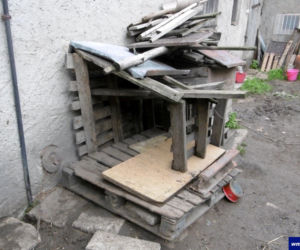 Znęcał się nad szesnastoma pieskami. Nie miały jedzenia ani picia [ZDJĘCIA]