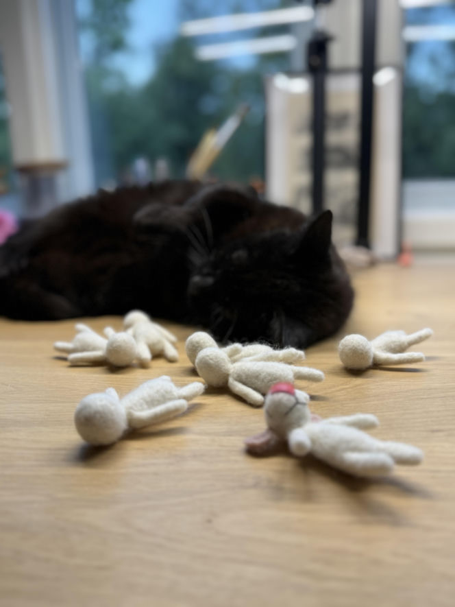 Filcowe myszki Joanny. Marka "Wyszło z norki"