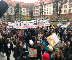 Manifestacja w obronie klimatu