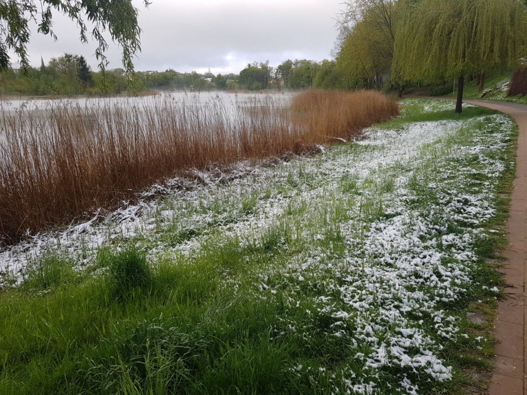 Olsztyn pod śniegiem, czyli jak zima potrafi zaskoczyć w maju!