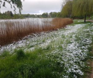 Olsztyn pod śniegiem, czyli jak zima potrafi zaskoczyć w maju!