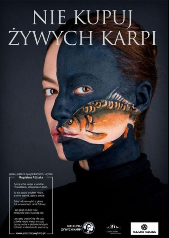 Gwiazdy w obronie wigilijnych karpi!