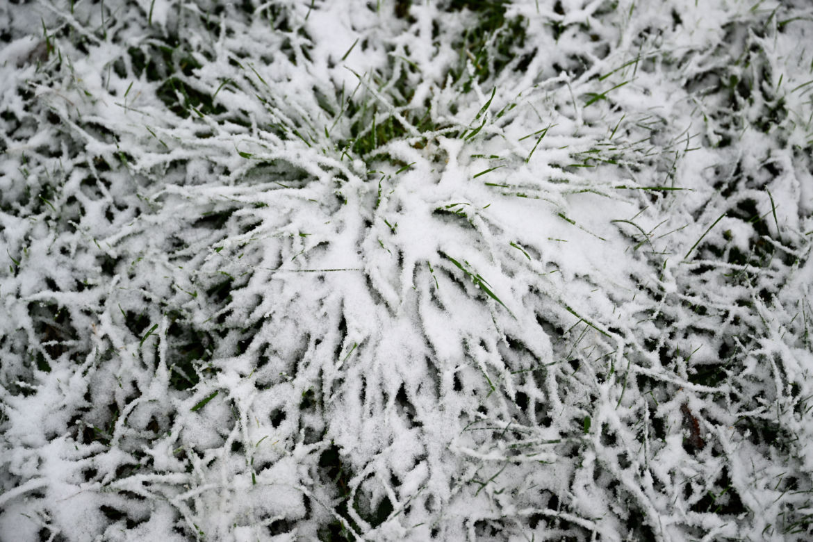 Pierwszy śnieg w Przemyślu
