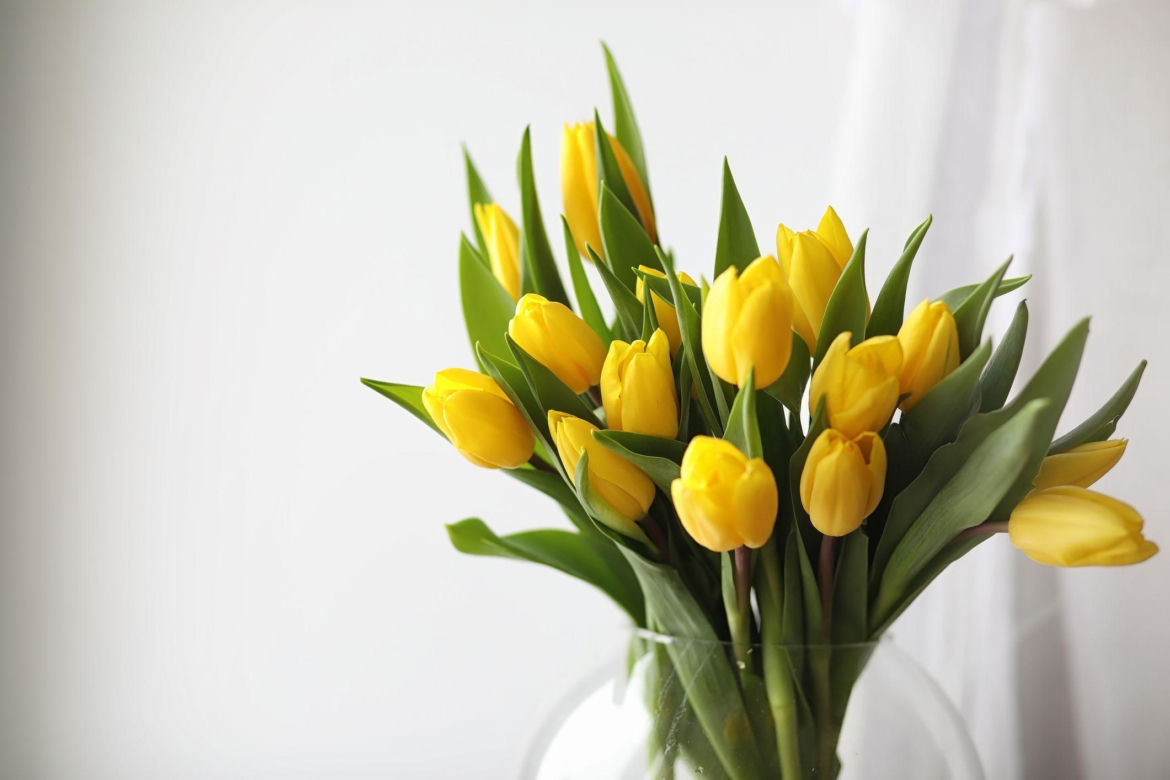 Tulipany w wazonie