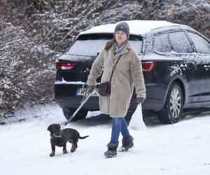 Towarzyszka panienka i pies. Monika Jaruzelska