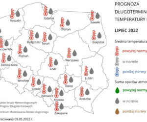 Pogoda na lato 2022: Szykuje się UPALNY lipiec! Znamy prognozy na wakacje! 
