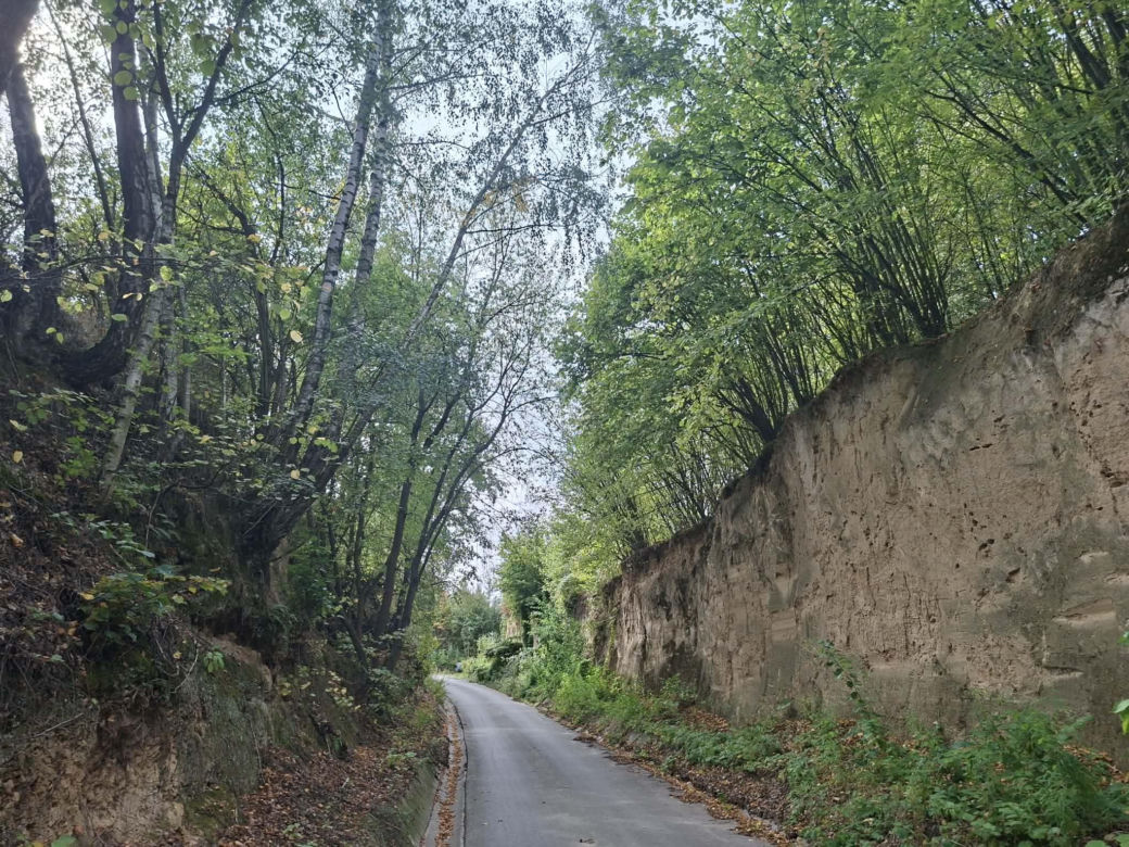 Udziców Świętokrzyskie. Wąwóz