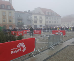 Białystok. Białostoczanie wymienili sztuczne choinki na żywe