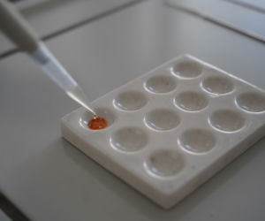 Włocławek: Pod siedzeniem ukrył ponad kilogram amfetaminy. Kara będzie surowa