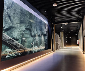 Egzotarium w Sosnowcu