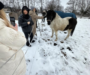 Joanna Krupa odwiedza schronisko dla zwierząt