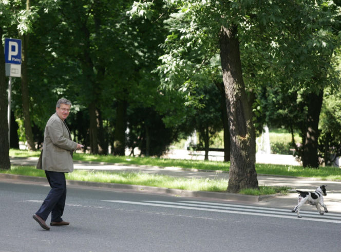 Pieski w Pałacu Prezydenckim