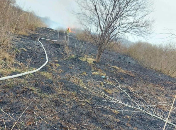 Sytuacja wymknęła się spod kontroli. 12-latkowie zadzwonili po pomoc