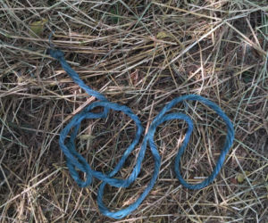 Ola przeżyła tortury zadawane przez 14-latka, bo udawała martwą. Horror w Łódzkiem