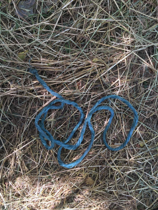 Ola przeżyła tortury zadawane przez 14-latka, bo udawała martwą. Horror w Łódzkiem
