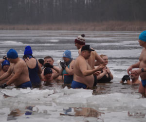 Lodowata woda, gorące emocje. Morsy znów opanowały jezioro pod Bydgoszczą