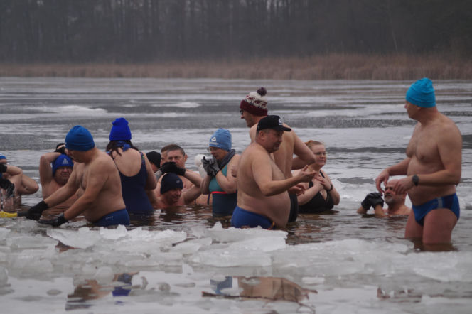 Lodowata woda, gorące emocje. Morsy znów opanowały jezioro pod Bydgoszczą