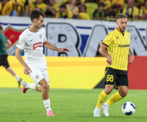 Zdjęcia kibiców z meczu GKS Katowice - MSK Żilina