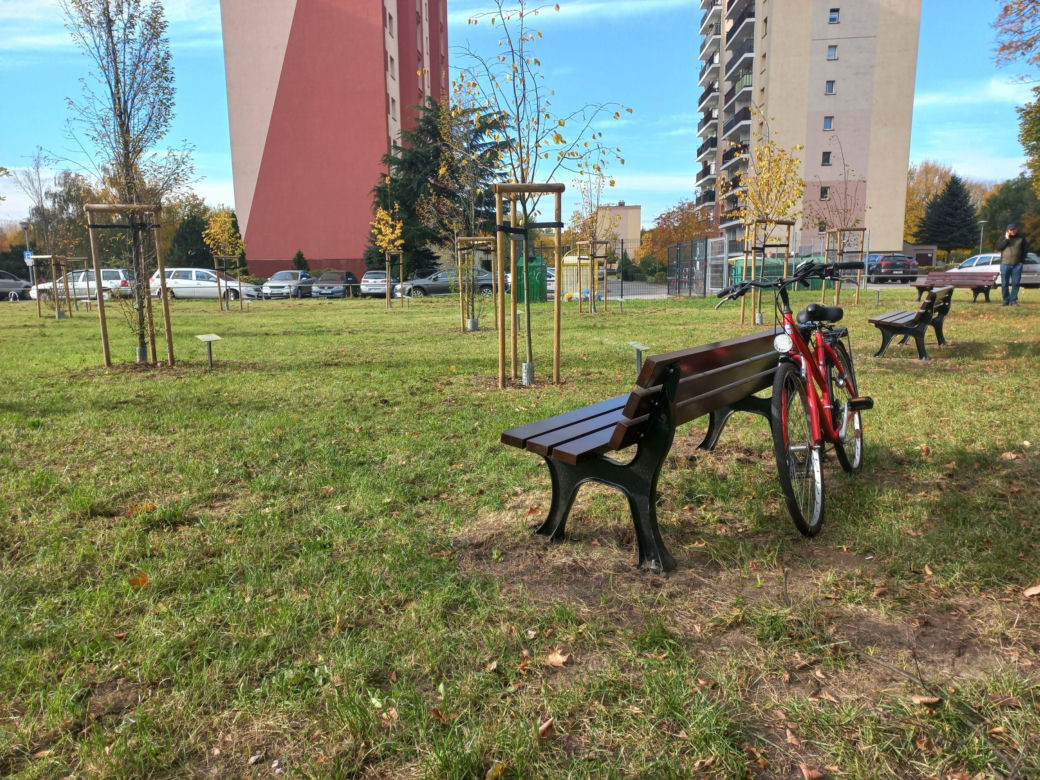 W młodym parku w Lesznie posadzono kolejne drzewa. Każde ma swoją tabliczkę