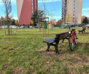 W młodym parku w Lesznie posadzono kolejne drzewa. Każde ma swoją tabliczkę