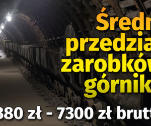 Ile zarabiają górnicy? W styczniu wywalczyli podwyżki 