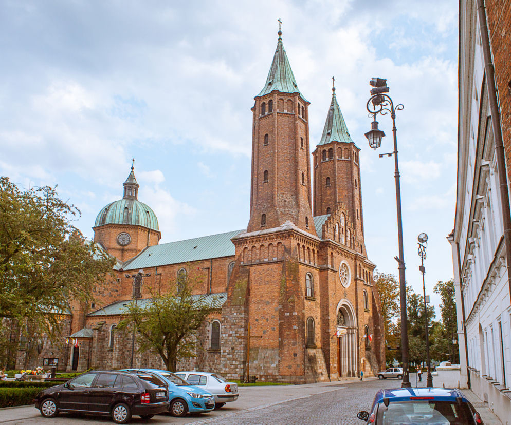 Płock. Pobrali PRÓBKI KOŚCI! Dowiemy się, jak wyglądali członkowie dynastii Piastów!