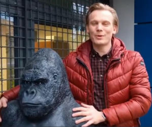 Skradziony goryl przejechał 50 km w bagażniku! Płocka policja odzyskała niezwykłą zdobycz