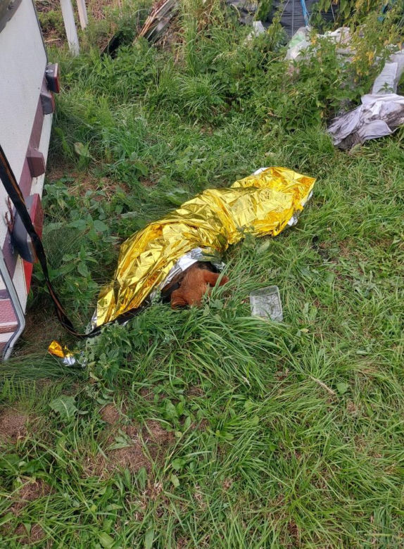 Uratowany z błota i samotności. Strażacy z Dłutowa pokazali wielkie serca