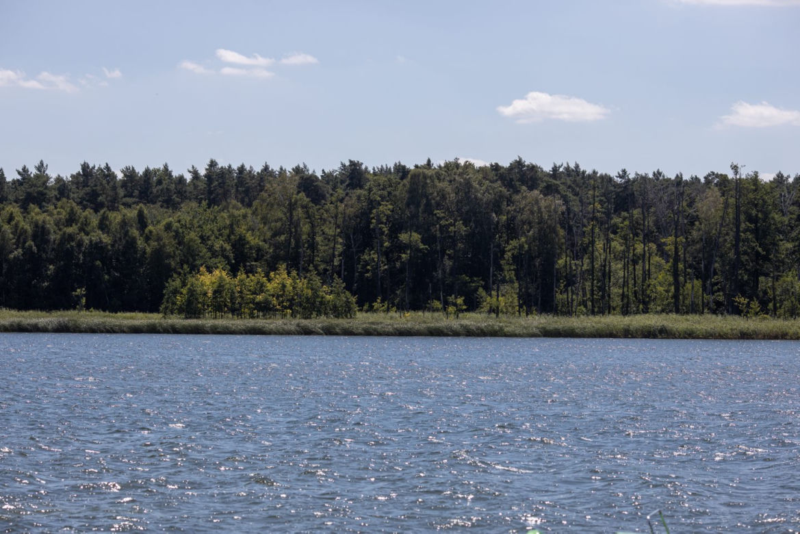 Utopił ojczyma, zdradził go pamiętnik