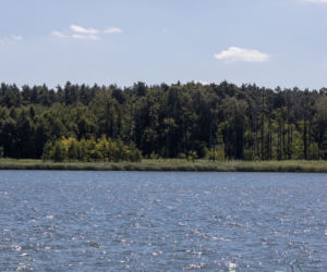 Utopił ojczyma, zdradził go pamiętnik