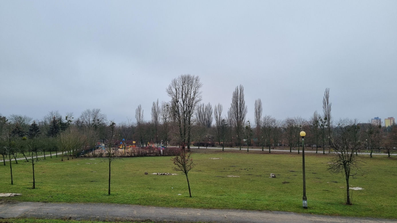 Park Kasprowicza. W tym miejscu powstanie nowa hala sportowa w Poznaniu?