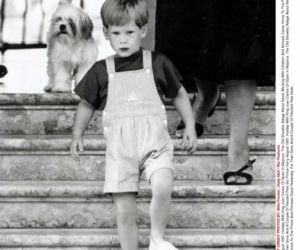 Książe Harry