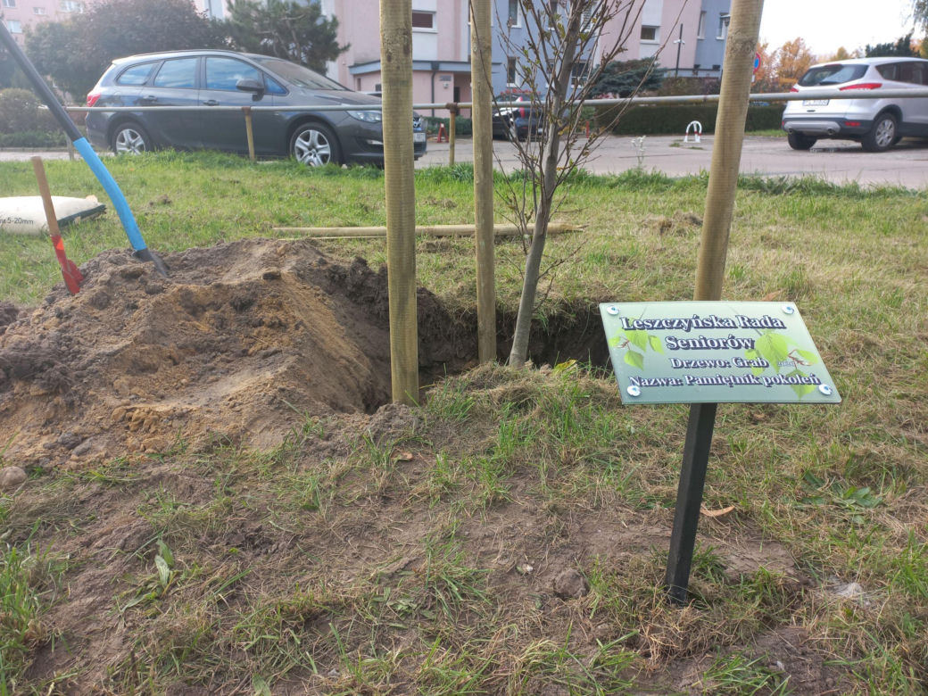 W młodym parku w Lesznie posadzono kolejne drzewa. Każde ma swoją tabliczkę